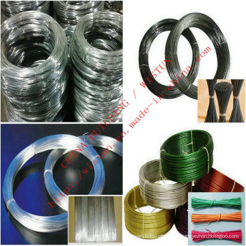 El alambre plano / galvanizado redondo más barato del hierro / el alambre de acero revestido del PVC / el alambre de acero inoxidable hechos en fábrica de China